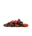 Fruits entiers d'églantier
