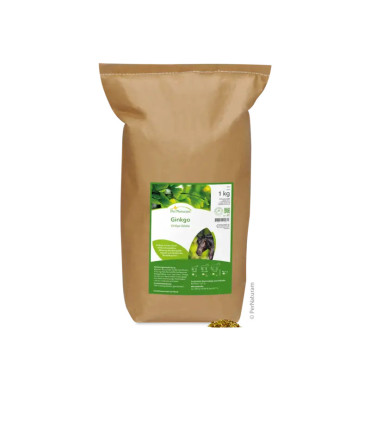 Ginkgo (1 Kg)