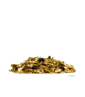 HerbaVisceral