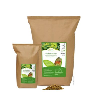 Herbes pour juments en fin de gestation