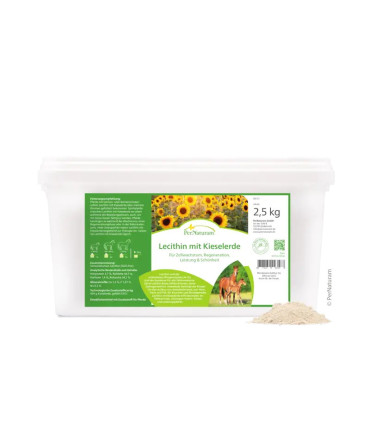 Lécithine avec silice (2,5 kg)