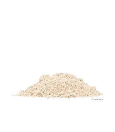 Lécithine avec silice (2,5 kg)