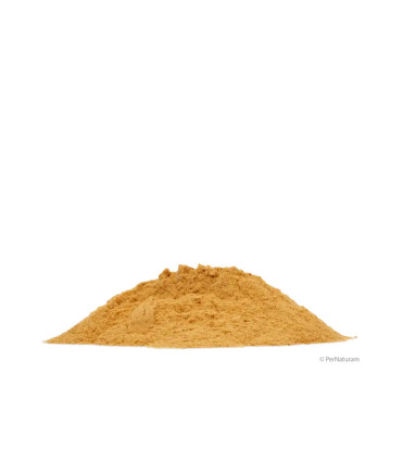 Levure de bière pure