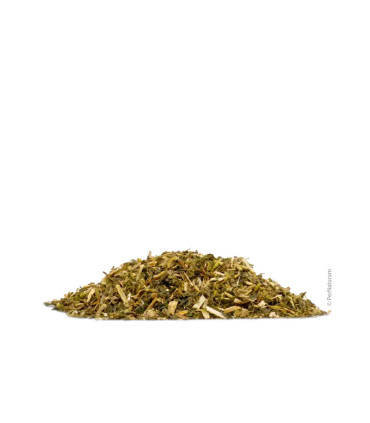Ortie (2 kg)