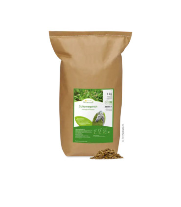 Plantain lancéolé (1 kg)