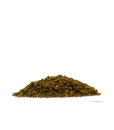 Poudre d'algues marines (3 Kg)