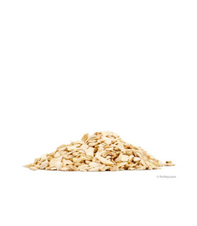 Raifort (1 kg)
