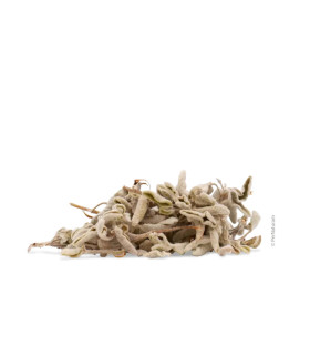 Sauge de Crète (200 g)
