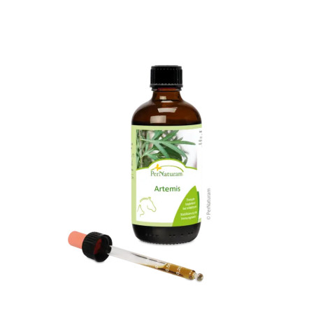 100 mL de solution Artémis